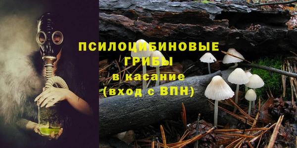экстази Богородицк