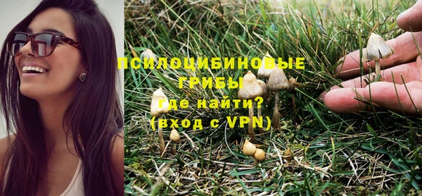 экстази Богородицк