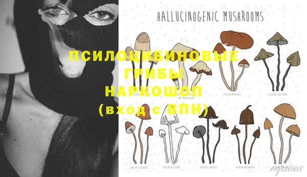 ALPHA-PVP Богданович