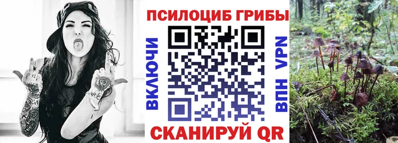 кракен как зайти  Дорогобуж  Псилоцибиновые грибы ЛСД 